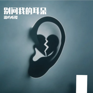 别问我的耳朵