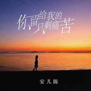 你留给我的只剩痛苦 (伴奏)