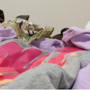 美、裸舞奴 （demo）