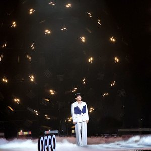 四十叹人生 (雁往北飞) (DJ 阿树版)