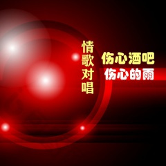 伤心酒吧伤心的雨DJ (对唱版)