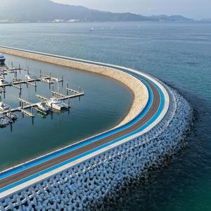 阳光彩虹小白马, Sunny Pony, Pop Music