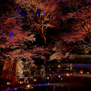 季節の変わり目FreeStyle (feat. NEOM & yellj)