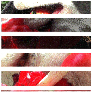 A baby girl named Heaven