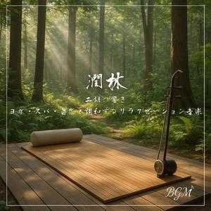 二胡と周波数が導くヨガリラクゼーション