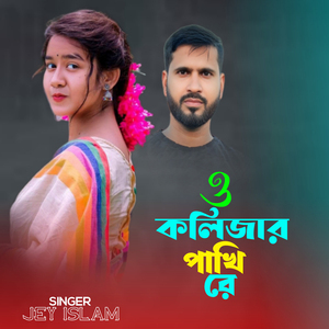 O KOLIZAR PAKHI RE