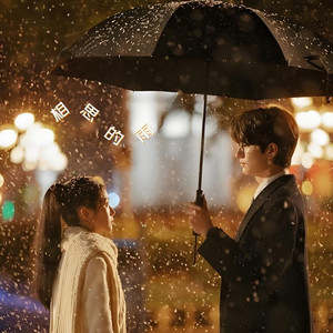 相思的雨 (Dj沈浪版)