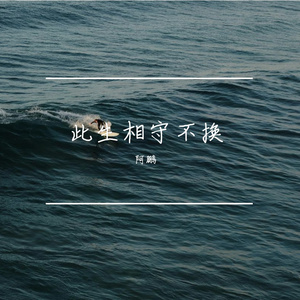 此生不换