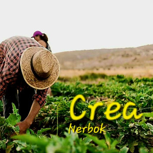 Crea