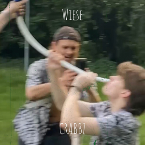 Wiese
