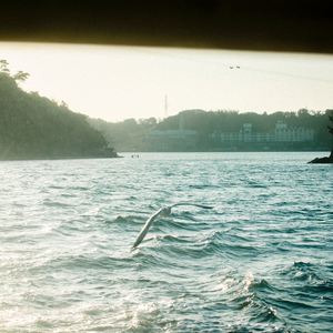 観覧車 (outtake / 映画『そこにきみはいて』オリジナル・サウンドトラックより)