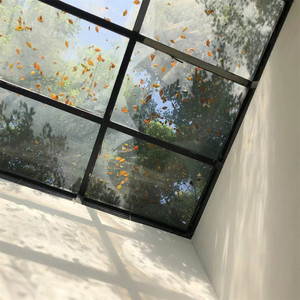 或许没有情绪的生活就是幸福