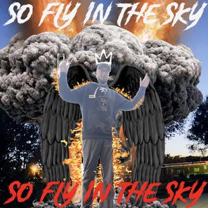 So Fly In Sky