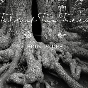 Tale of Two Trees