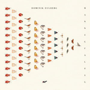 Zehnpunkt-Marienkäfer