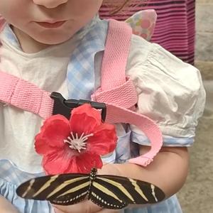 Secret Sauce Of Gratitude