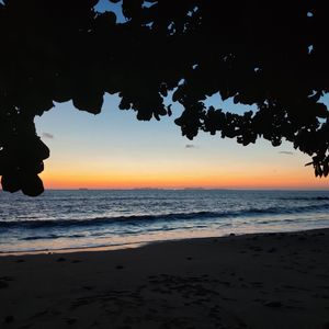 摇晃的波力海苔