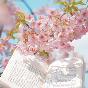 春天的诗集盎然