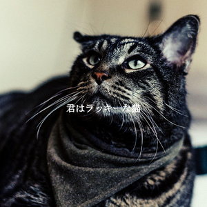 Hypnotic Ambience for Melbourne Coffee Roasters