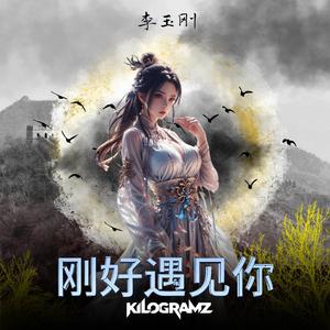 刚好遇见你 (Remix)