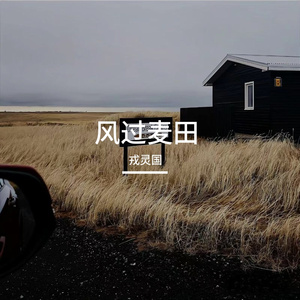 风过麦田