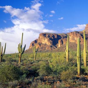 记得我们小时候生活条件差