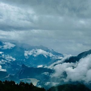 想念是凋谢的云