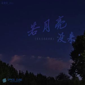 若月亮没来 (若是月亮还没来)【Remix版】