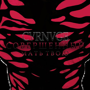 Совершенный