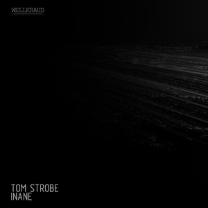 Inane (Chillstep Mix)