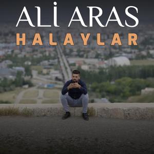 Ali Aras tekno halay (feat. ali aras)