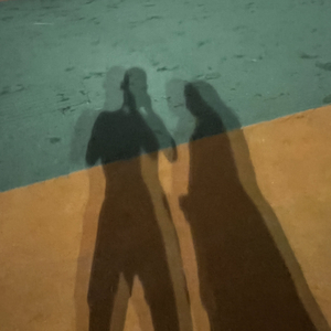 不想做朋友翻唱.wav（翻自 小贱）