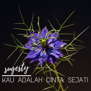 kau adalah cinta sejati