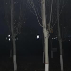 【FREE】Lil xan type beat