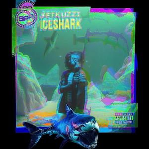 Dolphin (Live Radio Performance)