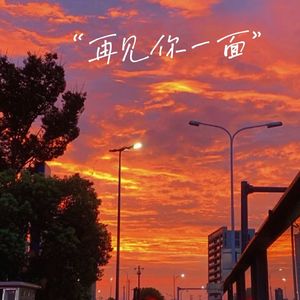 再见你一面