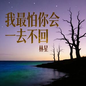 我最怕你会一去不回 (伴奏)