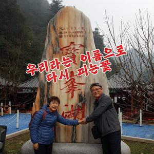 다시 피는 꽃