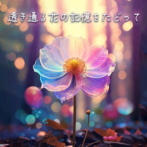 透き通る花の記憶をたどって