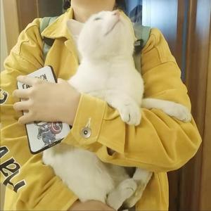 travel. (Prod by BECU BEATZ)