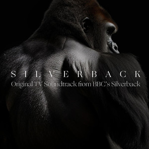 Silverback (from "BBC's Silverback")