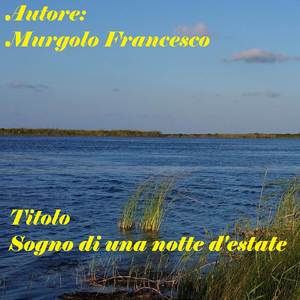 Sogno di una notte d'estate