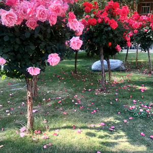 旅途（Prod. By heydium）