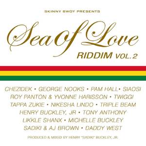 Freedom Song (Remix)