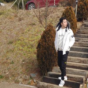 낙엽처럼 흩어져