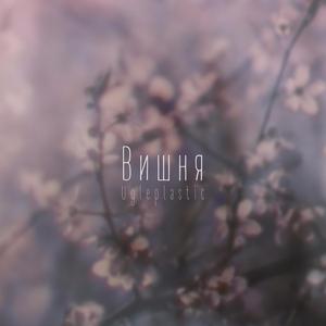 Вишня