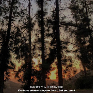 等你来的日子里 伴奏