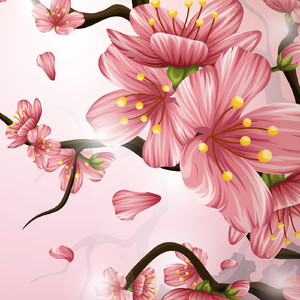 Cardcaptor Sakura Cherry Blossom