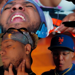 Exotico