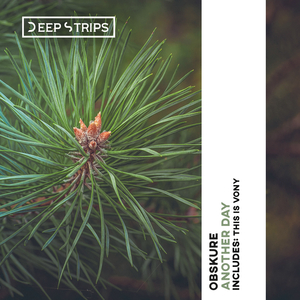 Another Day (Original Mix)